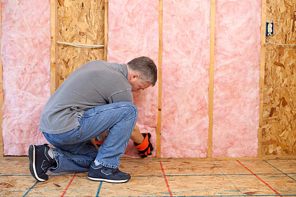 Best Types of Insulation in Dixon, KY